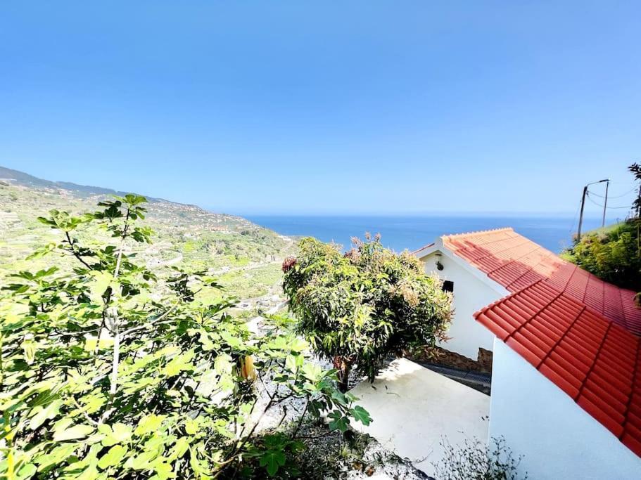 Mar A Vista By Your Madeira Rentals ポンタ・ド・ソル エクステリア 写真